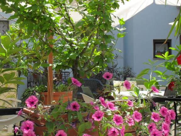 Albergo Ristorante Olimpia Abbadia San Salvator Kültér fotó